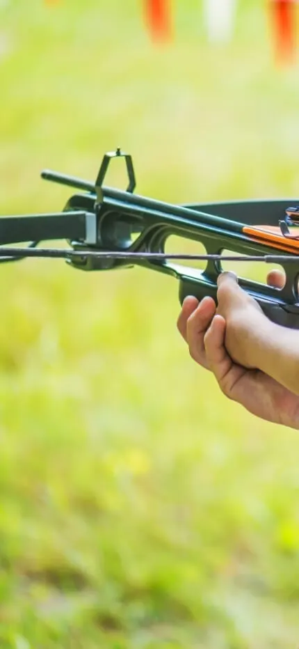 A girl with a long braid aiming a crossbow across a grassy field