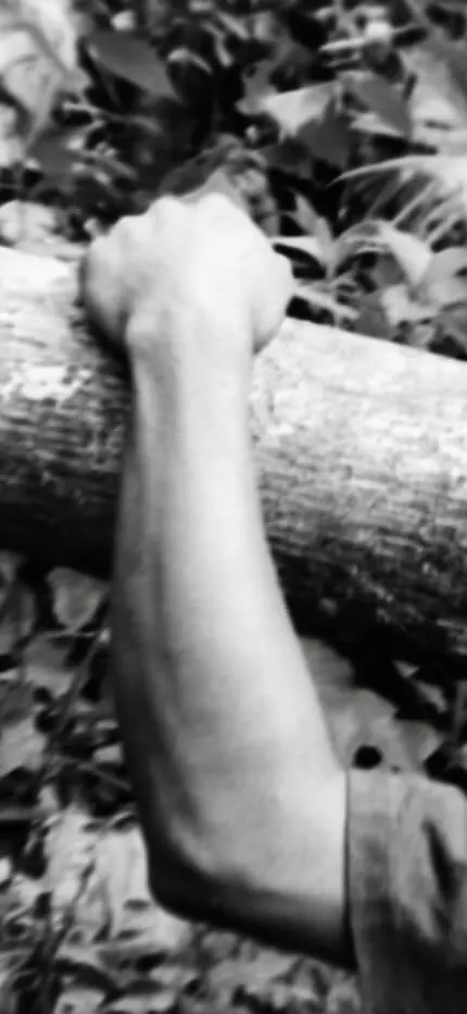 Black-and-white photo of a forearm gripping a large fallen log amid jungle leaves.