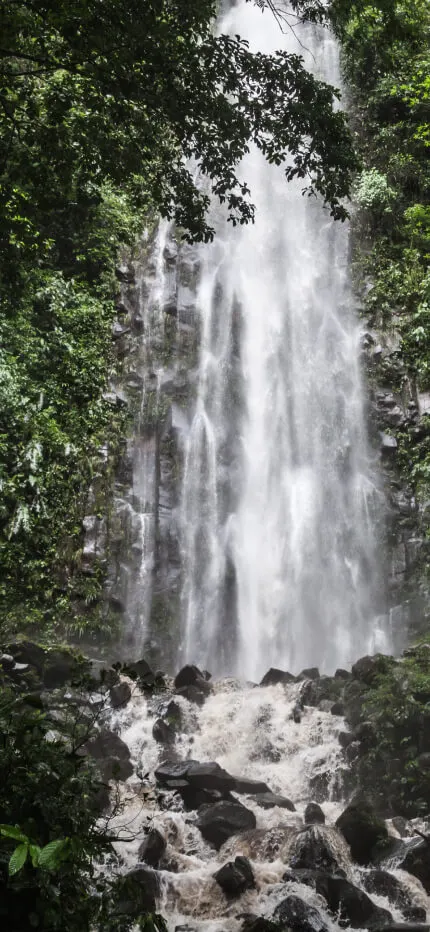 A tall waterfall pours down a rock face into a boulder-strewn pool, surrounded by dense green rainforest.