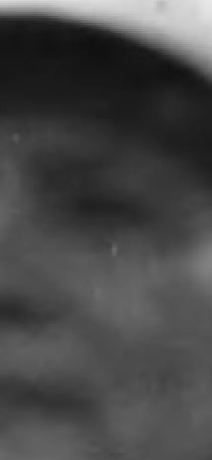 Grainy, heavily blurred black-and-white close-up of a face, almost abstract.