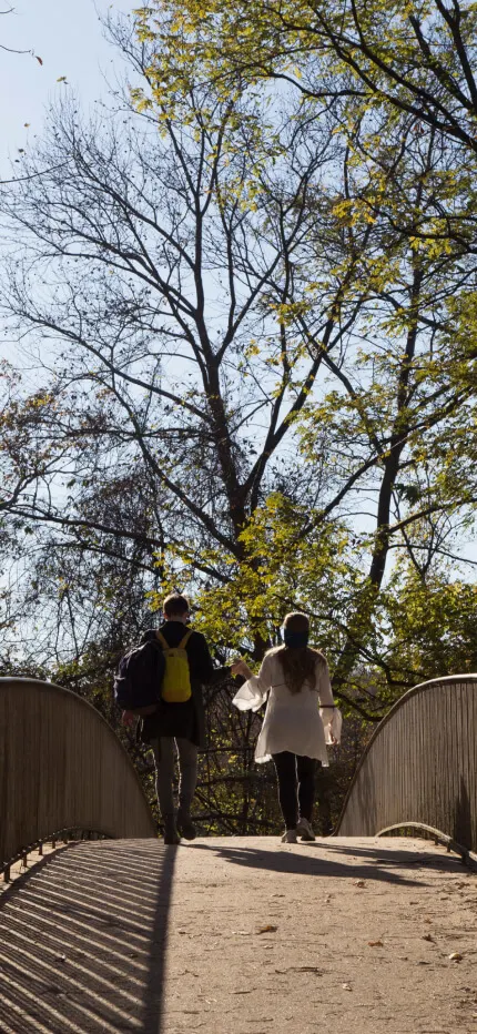 Two people walking side by side across an arched footbridge through autumn trees.